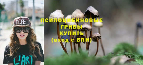 прущие грибы Балабаново