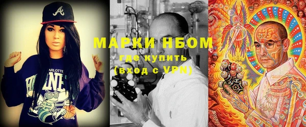 прущие грибы Балабаново