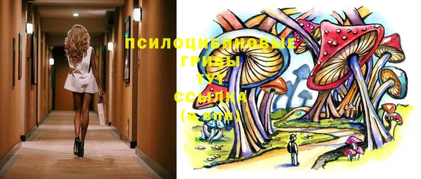 прущие грибы Балабаново