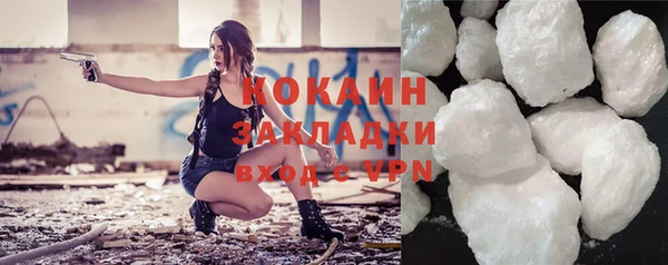 прущие грибы Балабаново