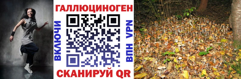 Галлюциногенные грибы GOLDEN TEACHER  Геленджик 